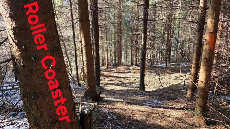 izgradnja enduro MTB staze roller coaster trail bike park evolution