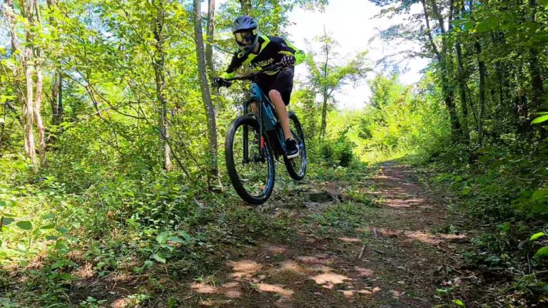 Evolution downhill trail bike park evolution