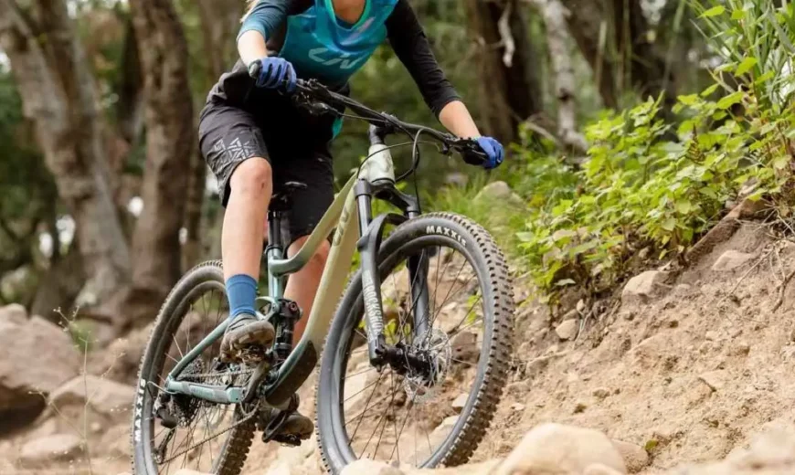 Kako odabrati MTB gume