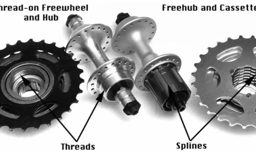 kaseta vs freewheel. Kako Prepoznati