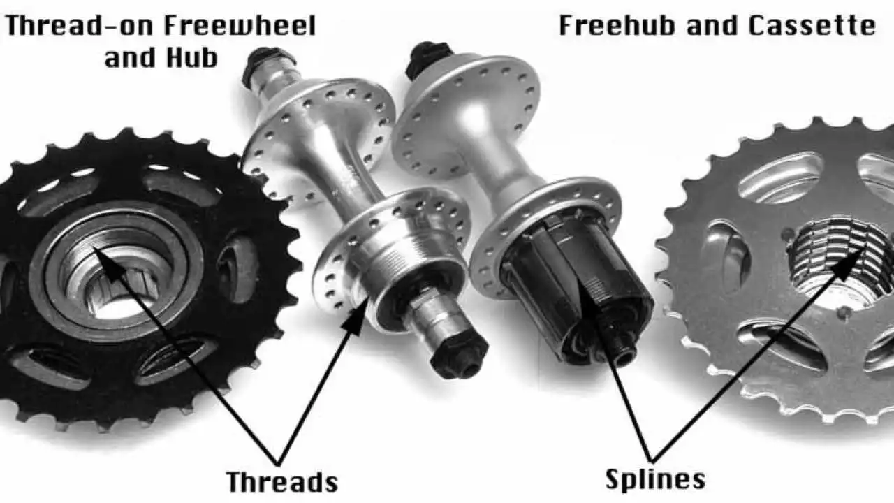 kaseta vs freewheel. Kako Prepoznati
