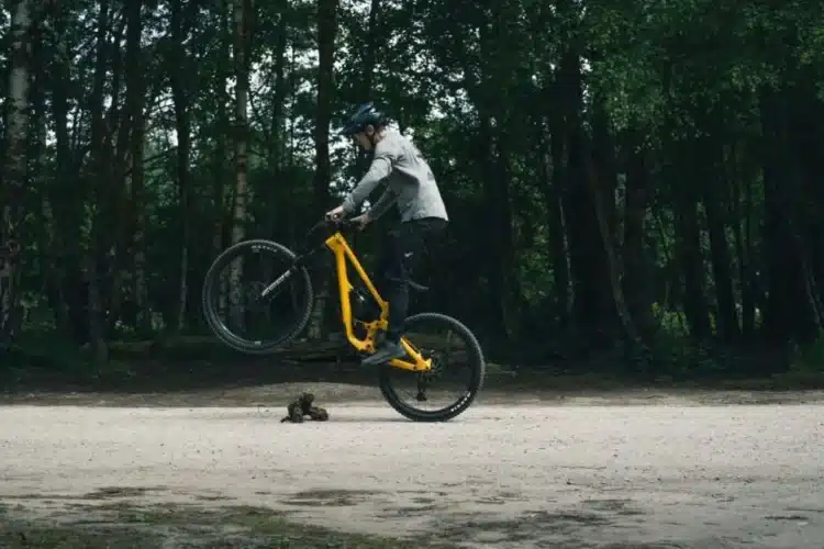 Kako napraviti bunny hop