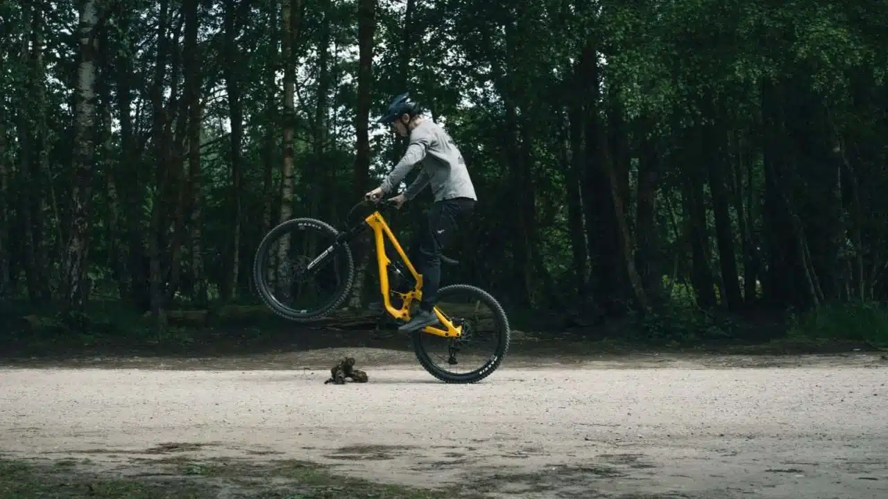 Kako napraviti bunny hop