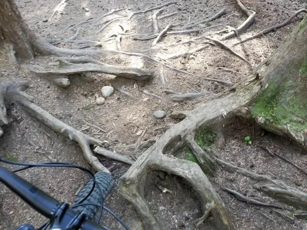 MTB custom trail features