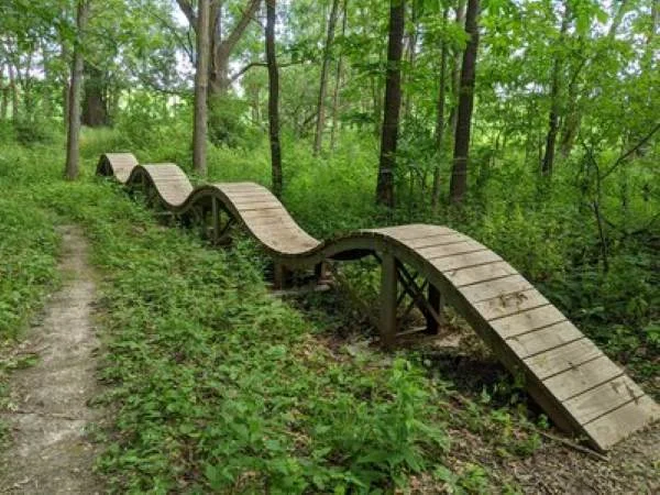 MTB roller coaster talasasti teren