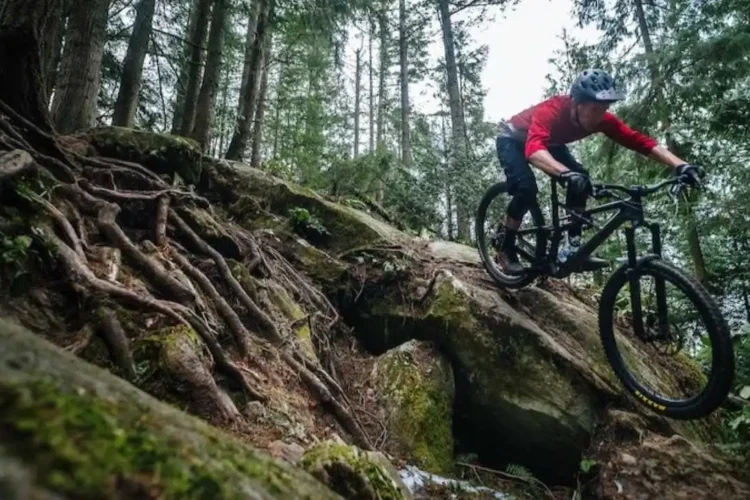 Tehnika vožnje nizbrdo