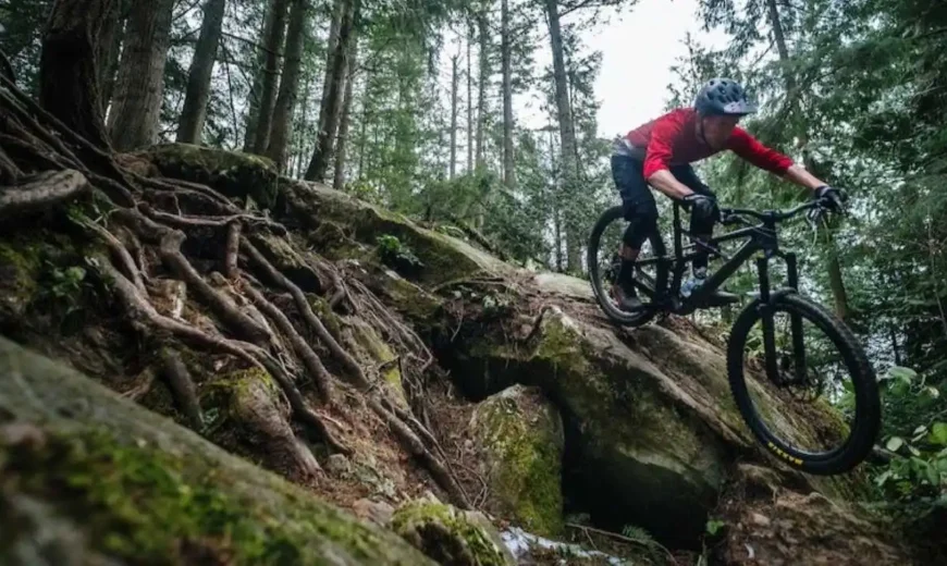 Tehnika vožnje nizbrdo