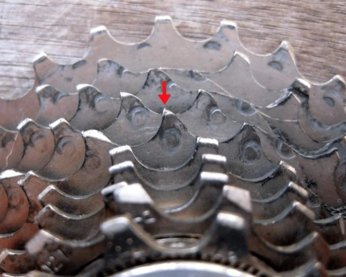 Usporedba novih zubaca i istrošenih zubaca u obliku peraja morskog psa