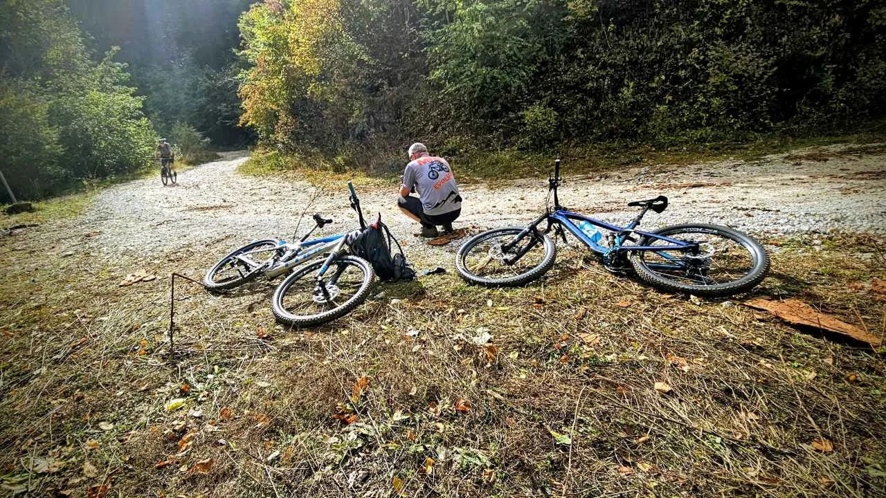 Igman MTB Maraton - Biciklista u gustoj šumi