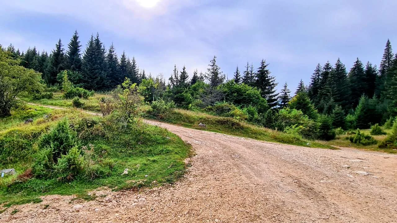 Istočno Sarajevo Tvrdimići MTB maraton - vozači na stazi
