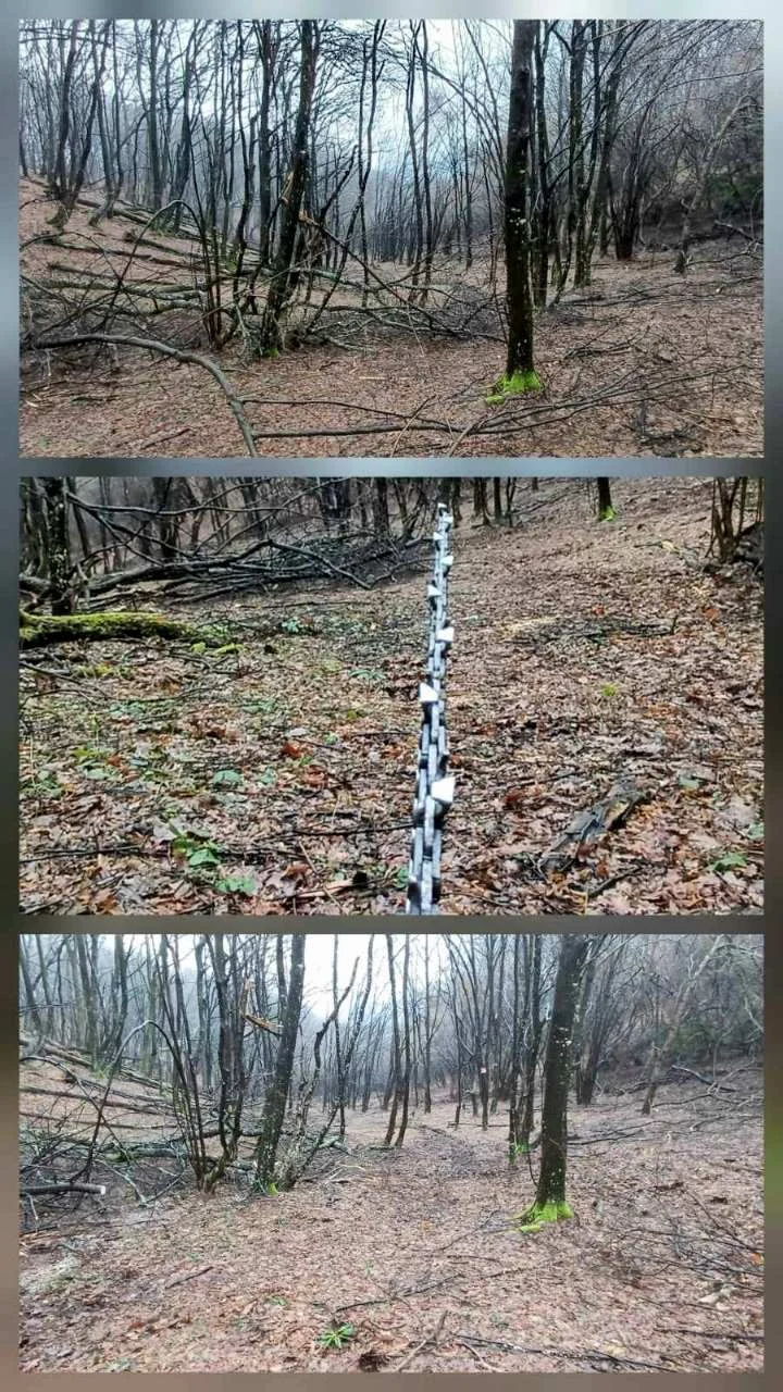 Duboki snijeg i radovi na Deep Forest stazi