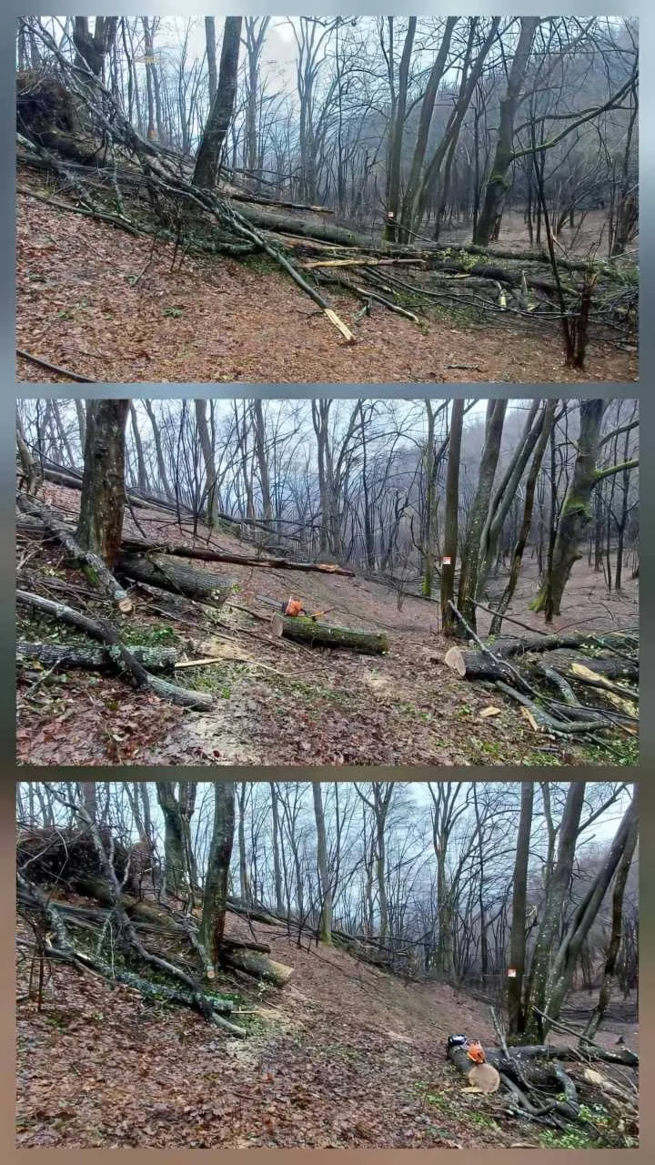 Sanacija staze Roller Coaster nakon vjetra