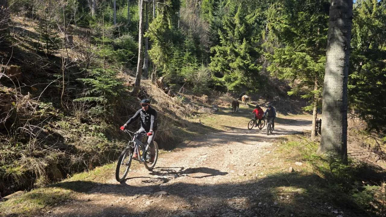 MTB ruta Udež - Pale
