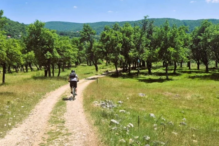 MTB maraton Borike 2026: Sportski izazov i priroda 2 MTB maraton Borike 2026: Sportski izazov i priroda