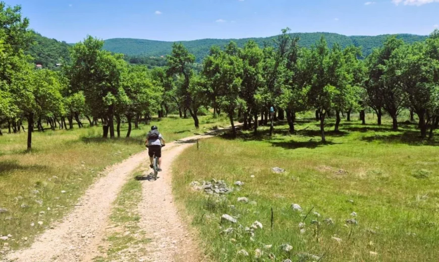 MTB maraton Borike 2026: Sportski izazov i priroda