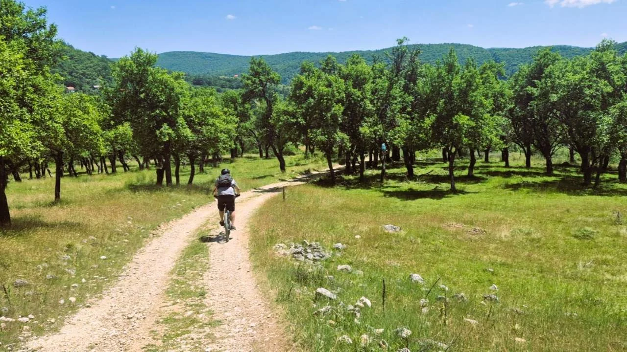 MTB maraton Borike 2026: Sportski izazov i priroda